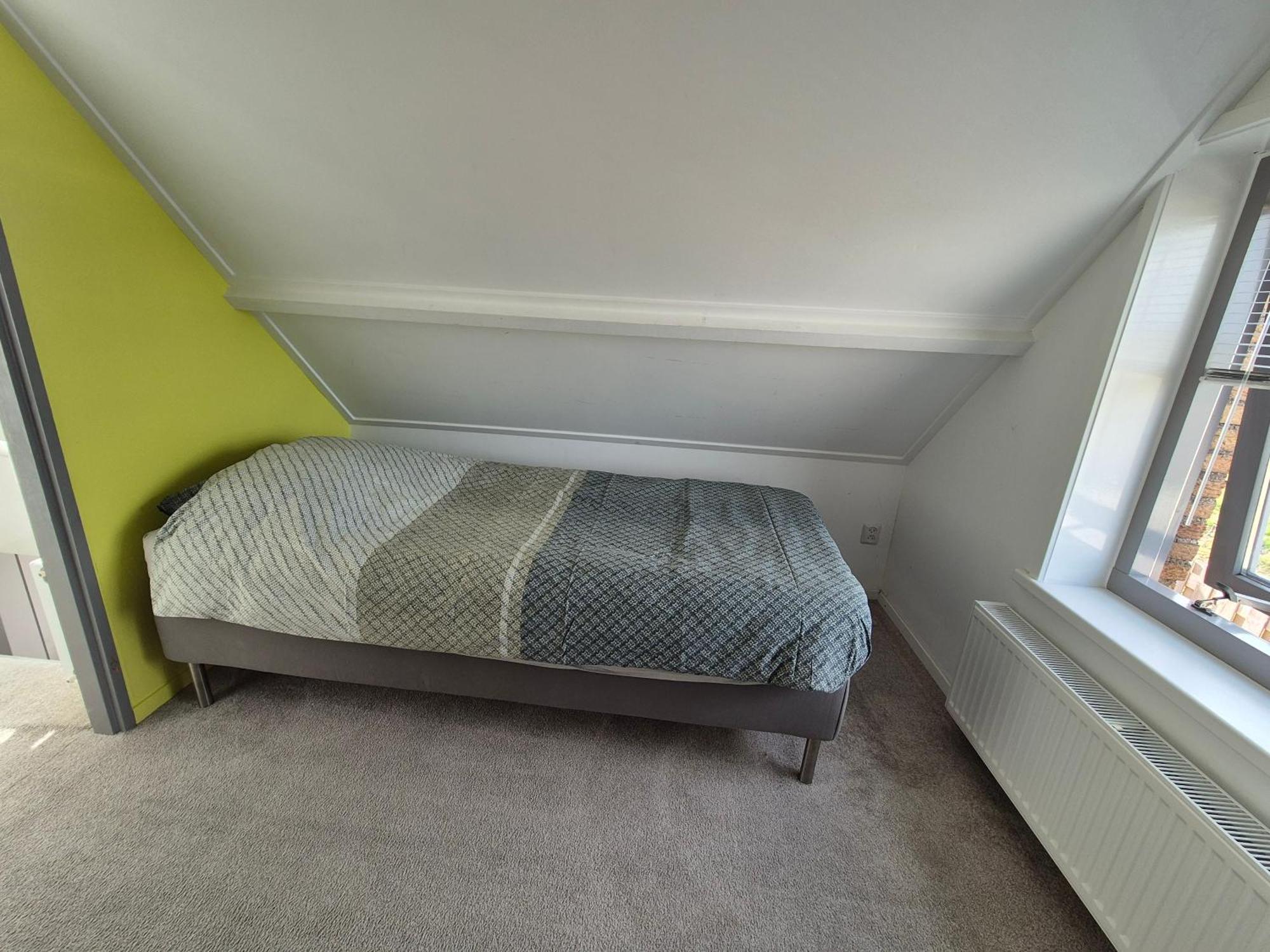 Lewedorp Vrijstaande Ruime Familiewoning Landelijk Gelegenヴィラ エクステリア 写真